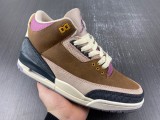 Air Jordan 3 Retro SE DR8869-200