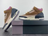 Air Jordan 3 Retro SE DR8869-200