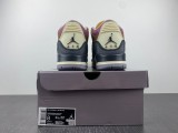 Air Jordan 3 Retro SE DR8869-200