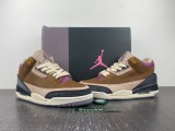 Air Jordan 3 Retro SE DR8869-200