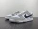 Dunk Low Retro SE DR9654-001