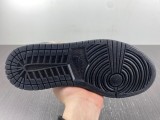 Air Jordan 1 Low DR6970-071