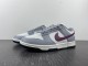 N*ike Dunk Low DD1503-122