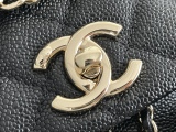 C*hanel Bag Top Quality  𝟤𝟢.𝟧*𝟤𝟢*𝟣𝟣.𝟧CM