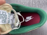 N*ike Dunk Low Retro FB7160-231