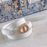D*ior Belts Top Quality  17MM