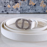 D*ior Belts Top Quality  17MM