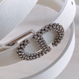 D*ior Belts Top Quality  17MM