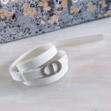D*ior Belts Top Quality  17MM