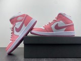 Air Jordan 1 DQ8423-616