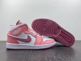 Air Jordan 1 DQ8423-616