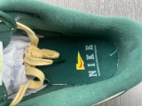 N*IKE Dunk Low Retro SE FD0350-133