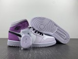 Air Jordan 1 Mid SE   DC9517-600