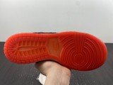 N*ike SB Dunk Low  FD4203-661