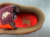 N*ike SB Dunk Low  FD4203-661