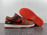 N*ike SB Dunk Low  FD4203-661