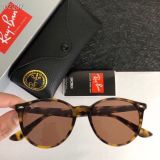 R*ayban Glasses Top