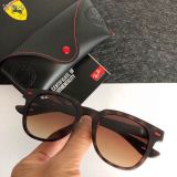 R*ayban Glasses Top