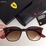 R*ayban Glasses Top