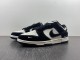 N*ike Dunk Low  FC1688-300