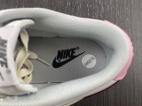 N*ike Dunk Low DD1503-117