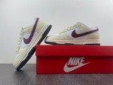 N*ike Dunk Low DD1503-117