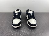 N*ike Dunk Low  FC1688-300