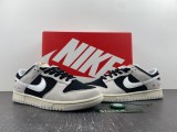N*ike Dunk Low Retro SE DO9776-001