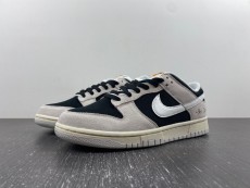 N*ike Dunk Low Retro SE DO9776-001
