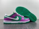 N*IKE Dunk Low 2023 FD9924-311