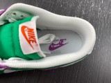N*IKE Dunk Low 2023 FD9924-311