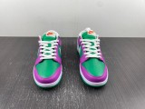 N*IKE Dunk Low 2023 FD9924-311
