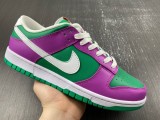 N*IKE Dunk Low 2023 FD9924-311