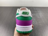 N*IKE Dunk Low 2023 FD9924-311
