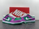 N*IKE Dunk Low 2023 FD9924-311