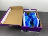 N*ike SB Dunk Low Pro DM0807-400