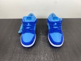 N*ike SB Dunk Low Pro DM0807-400