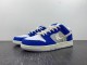 Fly Streetwear x N*ike SB Dunk Low 2023  DQ5130-400