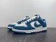 N*IKE Dunk Low Retro SE DV0834 101
