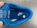 N*IKE Dunk Low Retro SE DV0834 101
