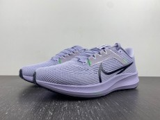 N*ike Pegasus 40 DV3853-500