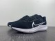 N*IKE AIR ZOOM PEGASUS 40  DV7480-001