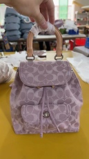 C*oach Top Bag  23.22.12CM