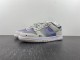 N*ike SB Dunk Low 80 RU2236-565