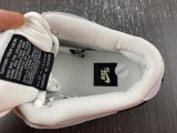 SB Dunk Low Pro CD2563-101