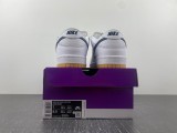 SB Dunk Low Pro CD2563-101