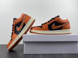 Air Jordan 1 Retro Low  DV1299-800