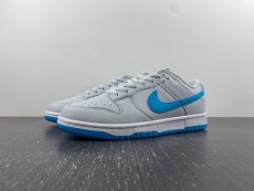 N*ike Dunk Low Retro  DV0831-001