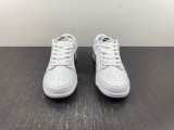 N*ike Dunk Low dv0831-102