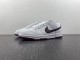 N*ike Dunk Low dv0831-102